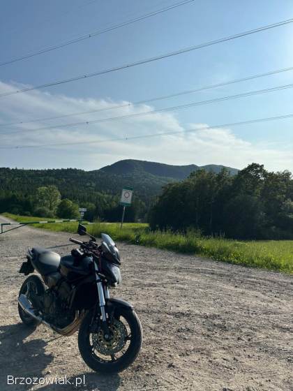 Honda CBF Hornet 600 A2 2009