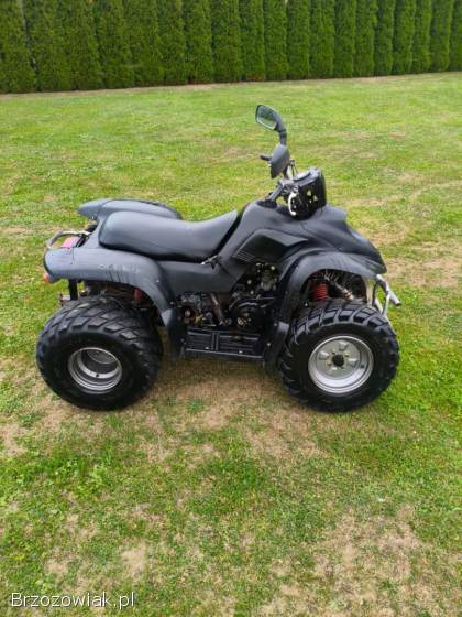 Quad aeon cobra 180