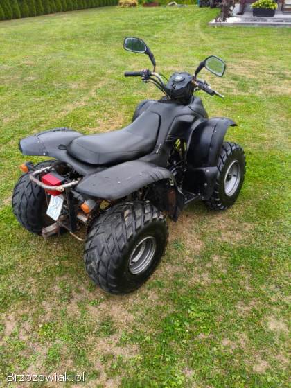 Quad aeon cobra 180