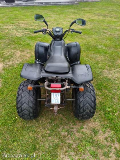 Quad aeon cobra 180