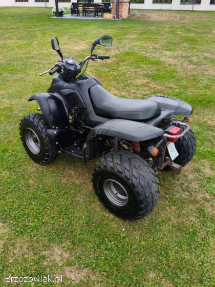 Quad aeon cobra 180