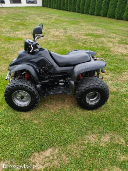 Quad aeon cobra 180