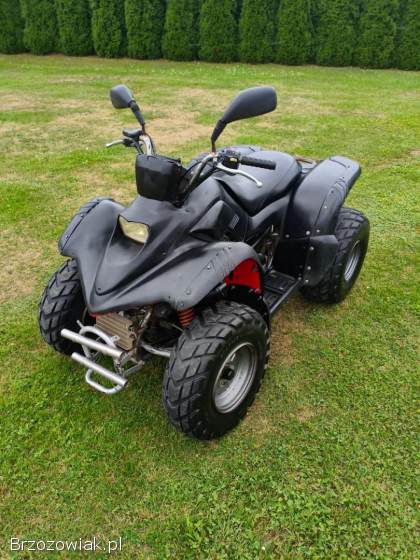 Quad aeon cobra 180