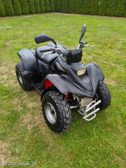 Quad aeon cobra 180