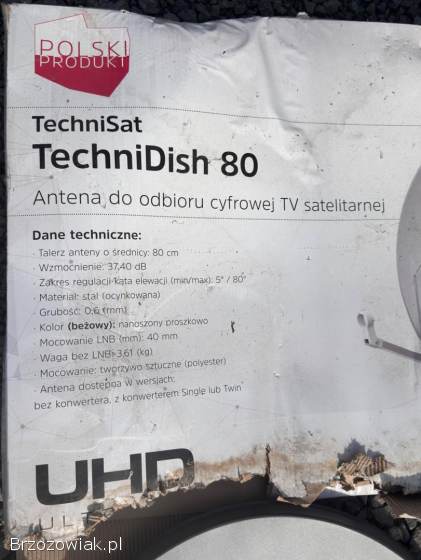 Satelita