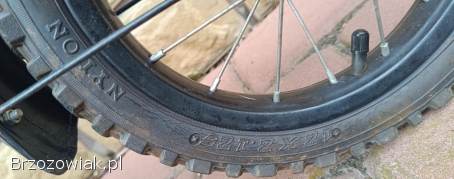 Rowerek dziecięcy typu BMX dla dzieci w wieku 3–5 lat + prowadnik