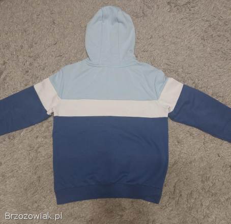 Bluza