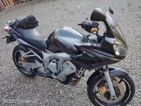 Yamaha FZ 600 Fazer  2005