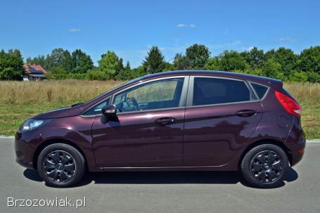 Ford Fiesta Mk 7 2010