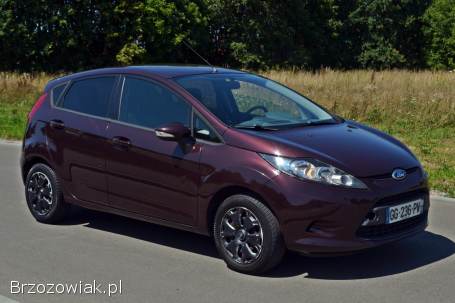 Ford Fiesta Mk 7 2010