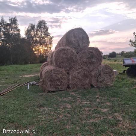 Sprzedam siano w belach 120x120 spod flizu